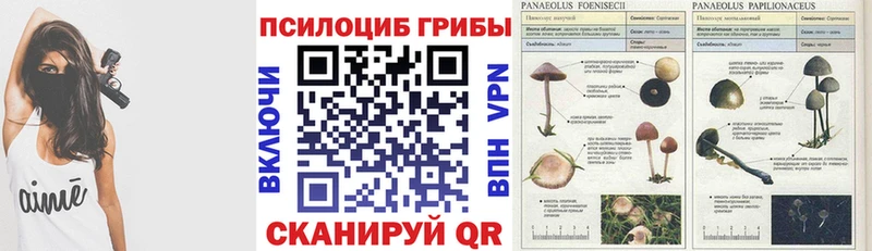Галлюциногенные грибы ЛСД Бикин